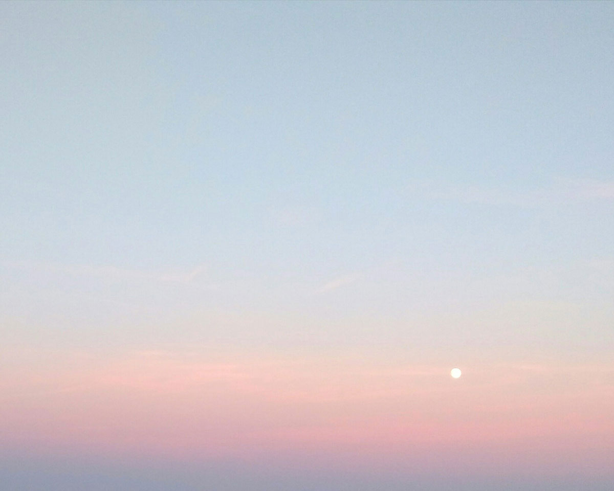 <br />
<b>Warning</b>:  Undefined variable $attachimentID in <b>/home/studiohas/has-mag.jp/public_html/wp-content/themes/HAS_Magazine_2025_1211/template/page/page-mediapolicy.php</b> on line <b>263</b><br />
