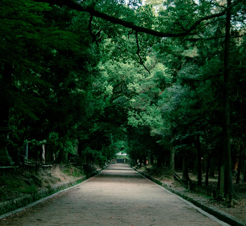 春日大社